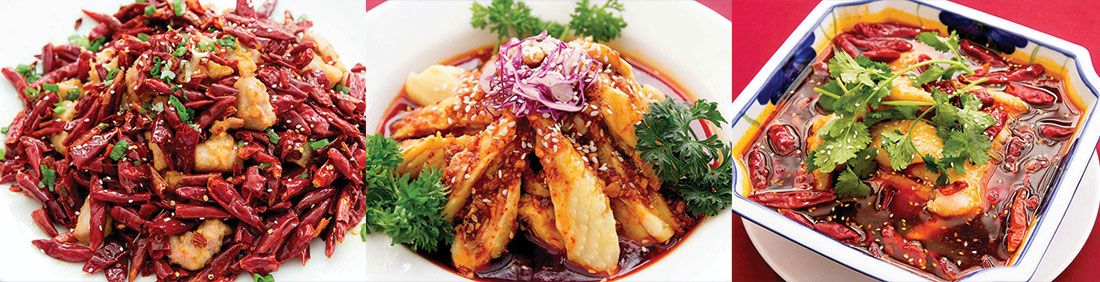 Banner for Szechuan Food Recommendations - Z & Y Restaurant, Chinatown, San Francisco