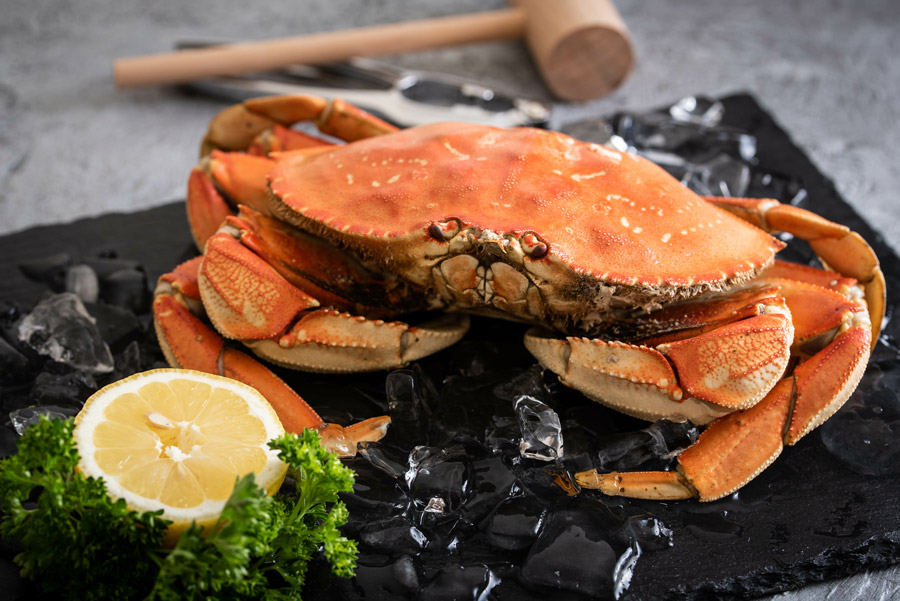 Dungeness crab of San Francisco, a seafood favorite at Chinatown's Z & Y Restaurant