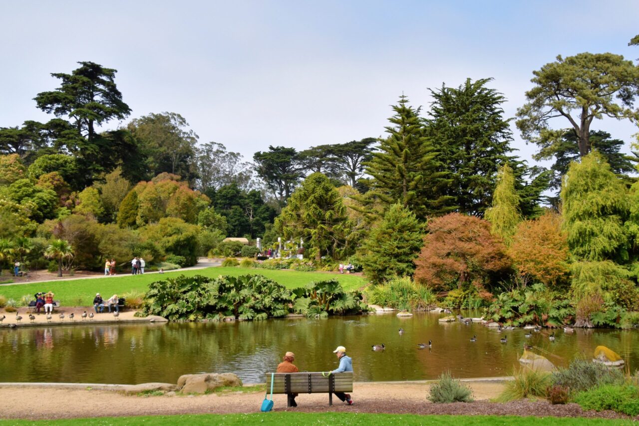 Golden Gate Park - Z & Y Restaurant, San Francisco